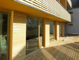 TripleWood 3