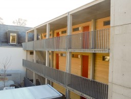 TripleWood 5